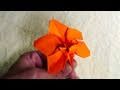 Origami Orchid (page 1). YouTube Flower Video Tutorials