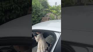 Kızamam Kiiii