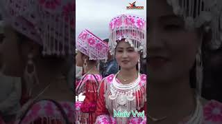 Maiv Vwj Tus Ntxim Hlub Noj Peb Caug Lom Zem