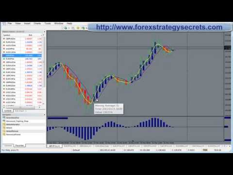 Forex Training For Succes