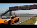 GO Squirrel GO!!! one lucky squirrel with a close call with a Lamborghini LP670-4 SV