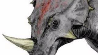 Styracosaurus Bellow