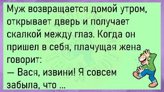 💎Ночь. Муж И Жена В Постели... Большой Сборник Весёлых Жизненных Анекдотов, Для Супер Настроения!