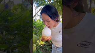Amazing Coconut