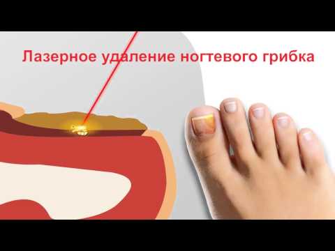 Насесты и гнезда для кур своими руками - инструкции с Мозаика своими руками: идеи, статьи, мастер-классы
