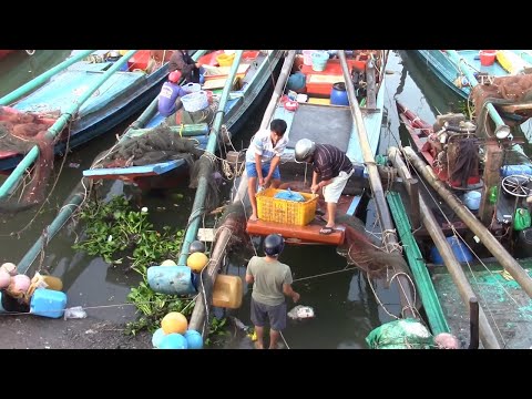 Tàu biển Kiên Giang đánh bắt đầu năm
