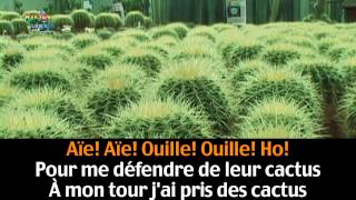 Les Cactus 39 39 Jacques Dutronc 39 39 Les Cactus 39 39 Jacques Dutronc 39 39