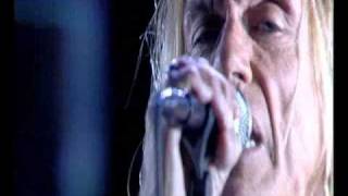 Watch Stooges Free Freaky video