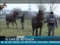 Şi caii se botează