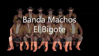 El Bigote Banda Machos.