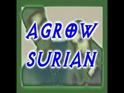 ORAAYIRAM