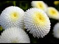 Don't ever give up! - Send a Smile ecards - Stay In Touch Greeting Cards Don't ever give up! - Send a Smile ecards - Stay In Touch Greeting Cards