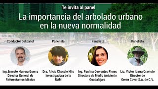 La importancia del Arbolado Urbano en la Nueva Normalidad - Doc Árbol