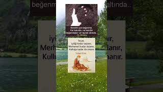 Kendini Çok Beğenme