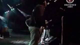Watch Hives Inspection Wise 1999 video