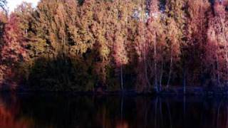 Watch Bell X1 Love Hurts video