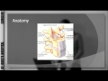 Spinal Cord Injuries Part 1.mov