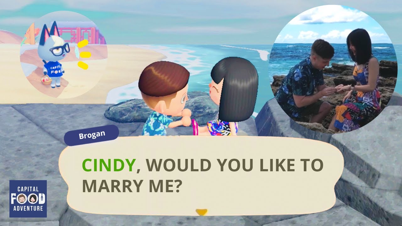 Animal Crossing Marriage Proposal?! Hyam's Beach proposal!
