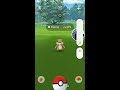 SHINY TRAPINCH SEARCH COMMUNITY DAY: POKEMON GO