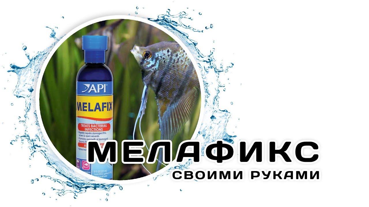 Мелафикс для рыб как изготовить самому Мелафикс для рыб как изготовить самому