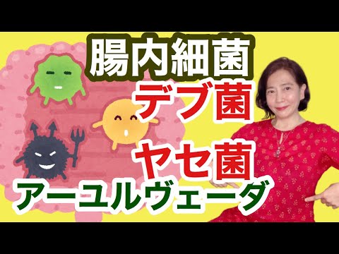 【ダイエット成功の秘訣は腸内環境】アーユルヴェーダ式腸内細菌との付き合い方