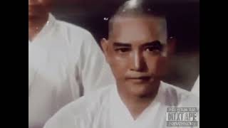 Shaolin Bronzemen (INSMNC REMIX) ft. Bronze Nazareth & Shoto Khan (Kung Fu Music Video)