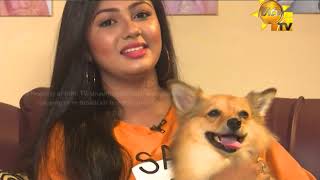 MY PET-SEGMENT-2020-09-11