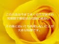 うつ病の改善!無料情報