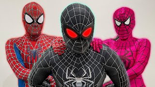 Spider-Man 4: New Home Vs Spider-Man No Way Home, Miles Morales, Iron Man 4 Funny Animation