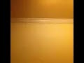 Watch فيلم سكس عربي الحق قبل الحذف - افلام سكس