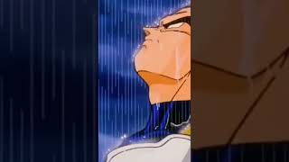Vegeta Bajo La Lluvia