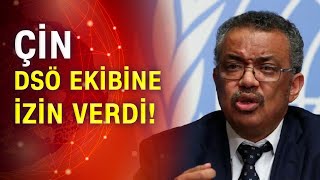 Çin Izin Verdi Dsö Virüsün Kaynağını Araştıracak