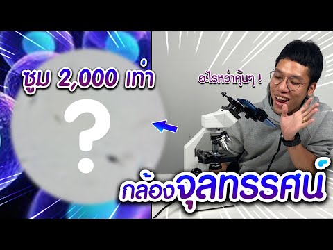 ใช้กล้องจุลทรรศน์ ส่อง 2000 เท่า ! เห็นอะไรบ้าง ? | กล้องจุลทรรศน์ Celestron 2000x