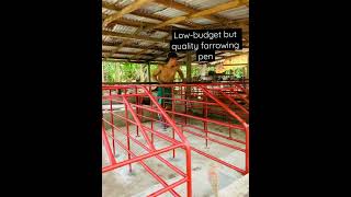 Low-Budget Kulungan Ng Baboy.