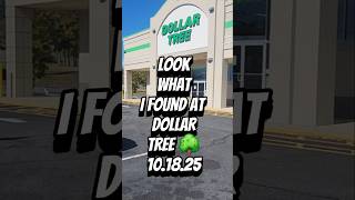 Look What I Found At Dollar Tree 10.18.25