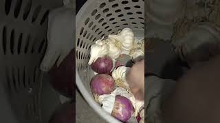 Punjabi Desi Wife Dinner Night Routine Today Part3