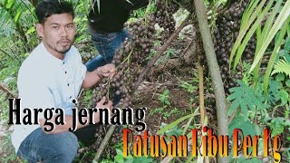 Harga Jernang Ratusan Ribu Dragon Blood