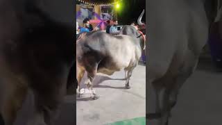 ,