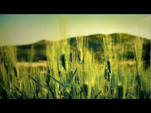 Best Trance Songs - May 2011 [HD]