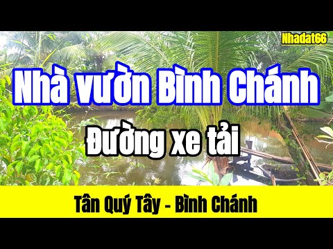 Bán 2043m2 nhà vườn Bình Chánh || Có nhà cấp 4, nhà chòi, ao nuôi cá, vườn trái cây