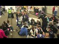 Bellevue East Harlem Shake