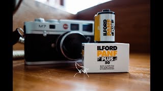 Ilford Pan F 50 - Smooth & Y