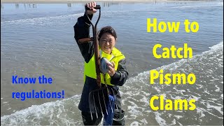 How To Catch Pismo Clams Clamming Regulations Game Wardens Inspect Clams