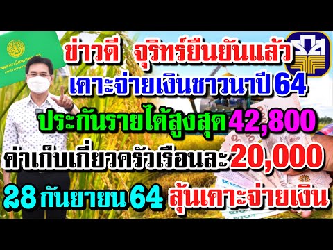 ชาวนาฟังด่วน!28กันยายนนี้ลุ้น ครม.เคาะวันจ่ายเงินชาวนาไร่ละ1,000บาทประกันรายได้ปี3(27ก.ย64)