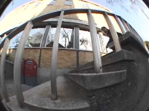 Bradley Sheppard & Torey Goodall — Elephant Direct (2010)