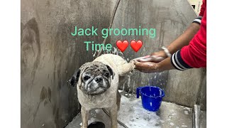 Jack Ka Cleaning Anamika Vlogs