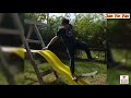 Best Funny Fails Videos Compilation #3 2019