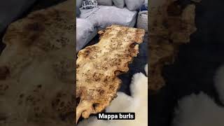 Mappa Burls From California Exotic Hardwoods