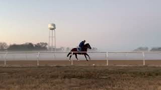 Track Training in the Fog