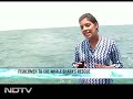 Gujarat's fishermen to the whale shark's rescue